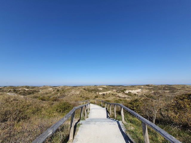 loslaten