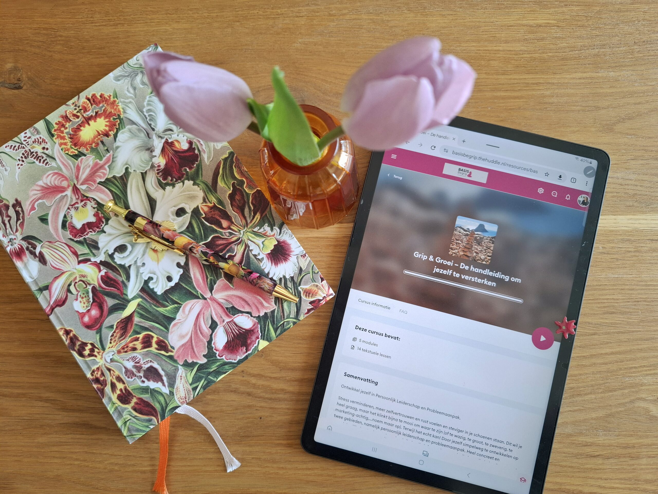 BasisBegrip Grip en Groei elearning (2)