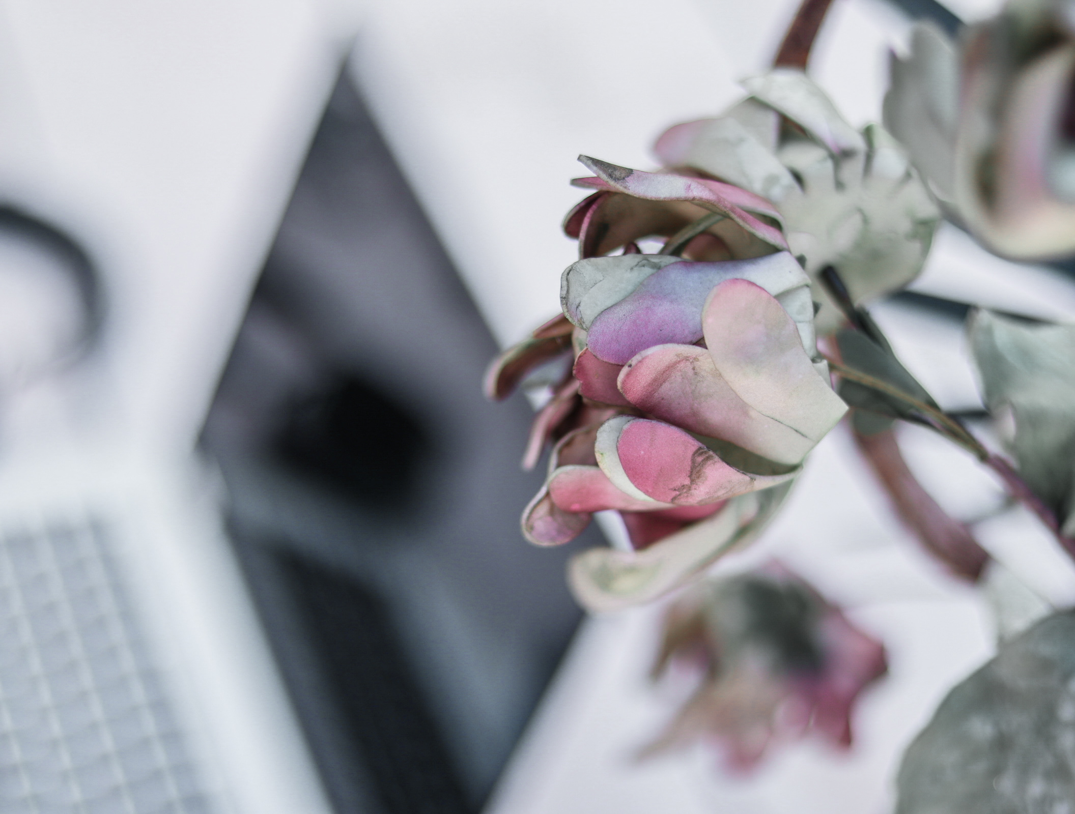 BasisBegrip blog AI